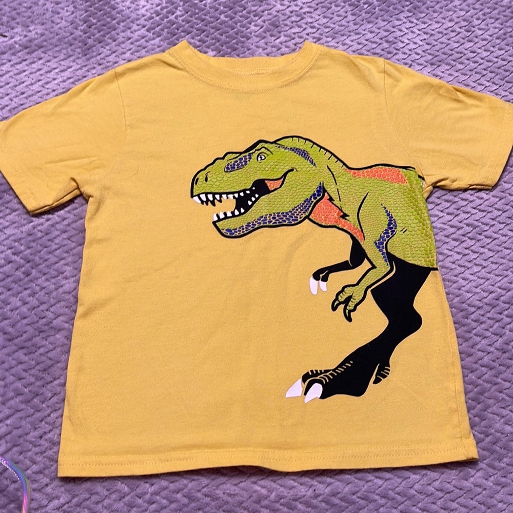Cat and jack 5t dino tee